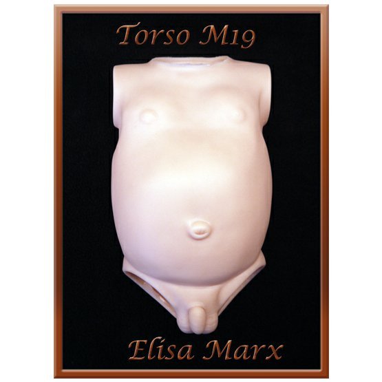 torso-m19.jpg