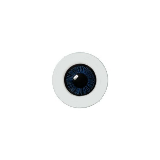 /images/img/p/1/1/1/6/1116.jpg
